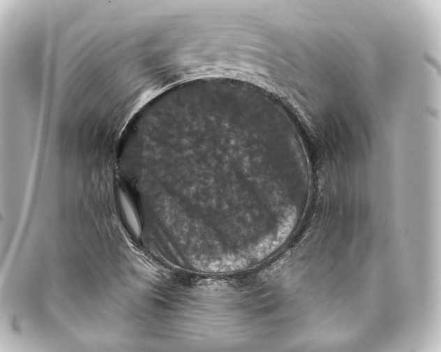 X0000095551505200712281555