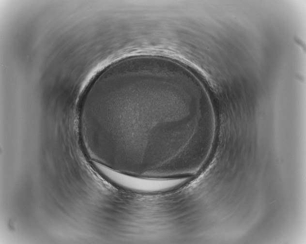 X0000095551506200712281555