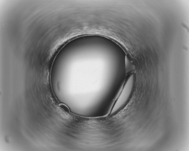 X0000095551507200712281555