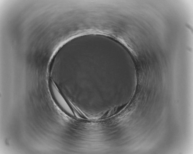 X0000095551508200712281555