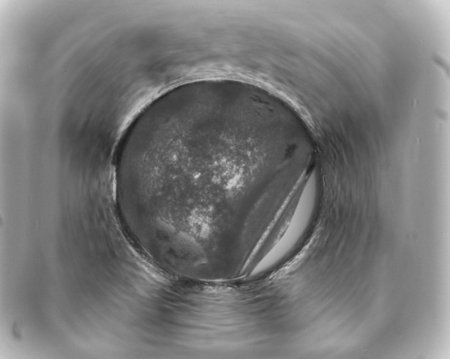 X0000095551509200712281555