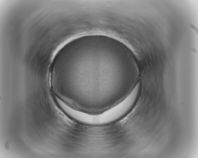 X0000095551510200712281555