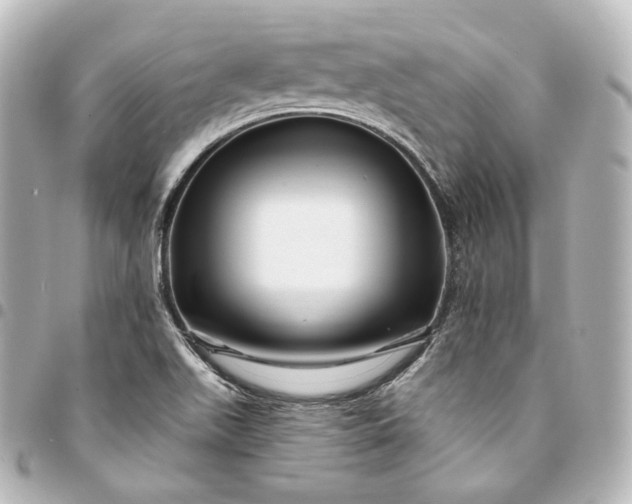 X0000095551511200712281555