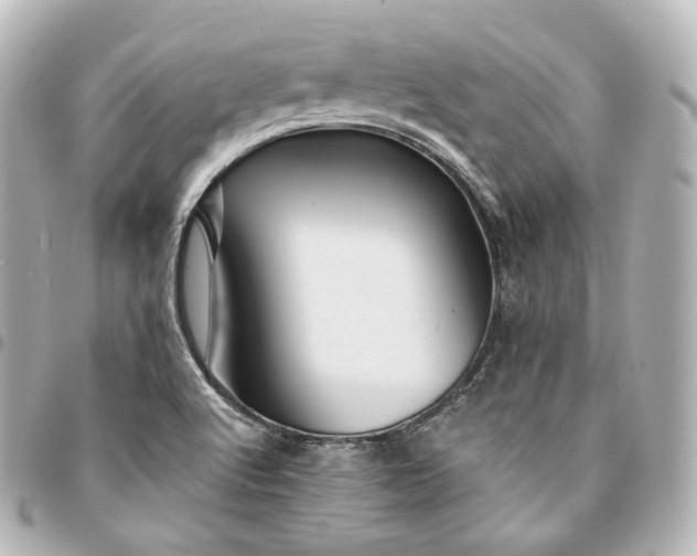 X0000095551512200712281555