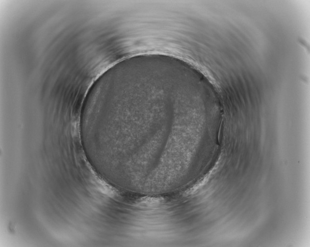 X0000095551513200712281555