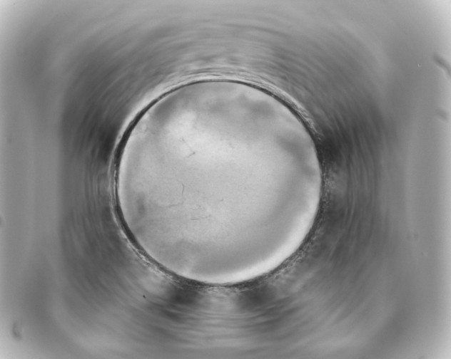 X0000095551514200712281555