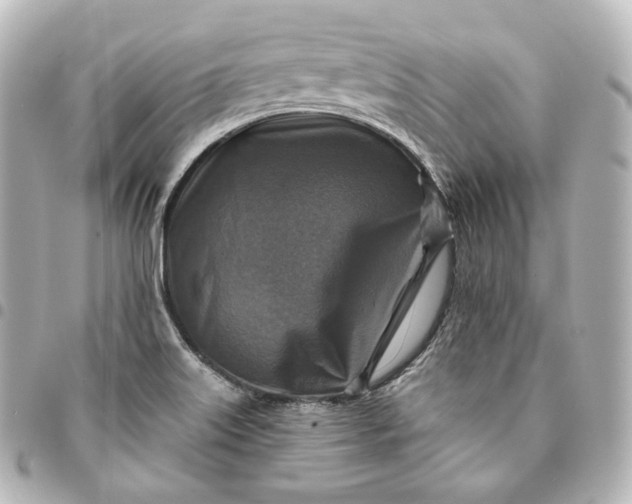 X0000095551515200712281555