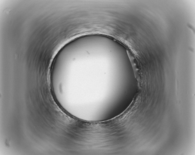 X0000095551516200712281555