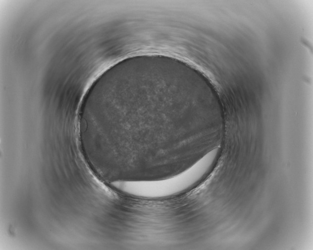 X0000095551517200712281555