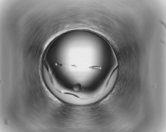 X0000095551518200712281555