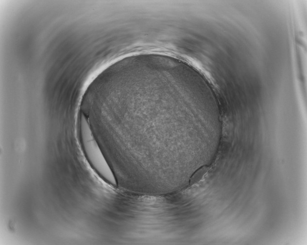 X0000095551520200712281555