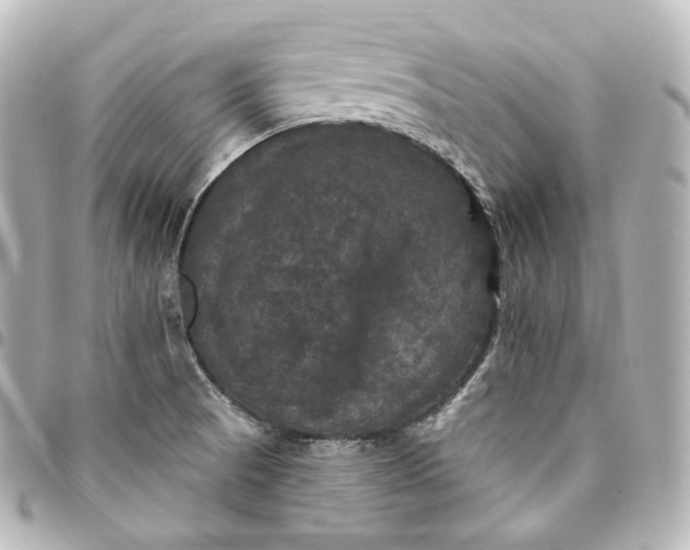 X0000095551521200712281555