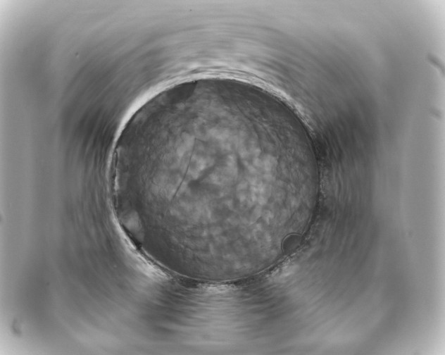 X0000095551522200712281555