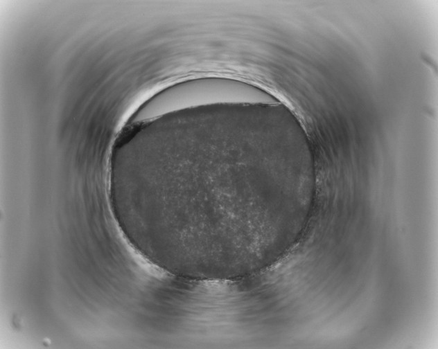 X0000095551523200712281555