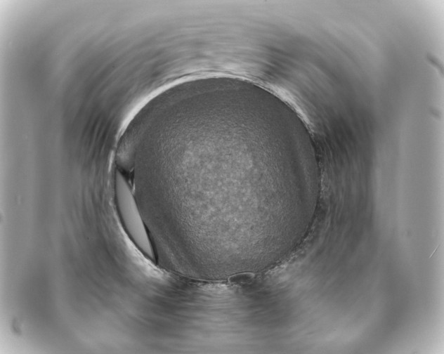 X0000095551524200712281555