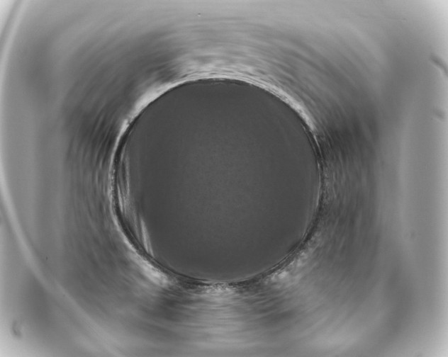 X0000095551525200712281555