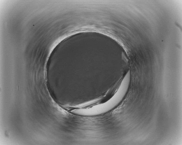 X0000095551527200712281555