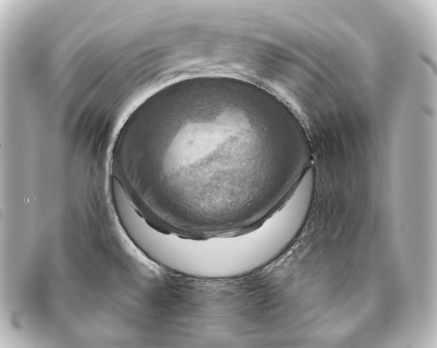 X0000095551528200712281555