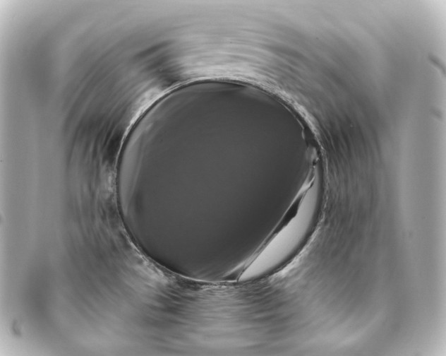 X0000095551529200712281555