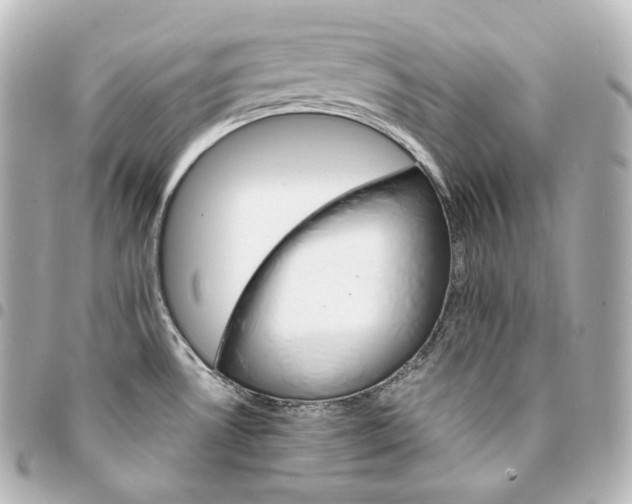 X0000095551530200712281555