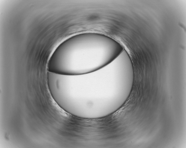 X0000095551532200712281555