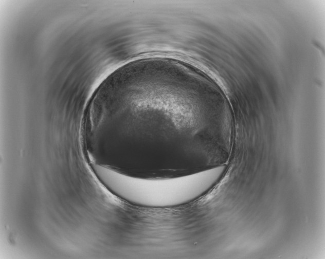 X0000095551533200712281555