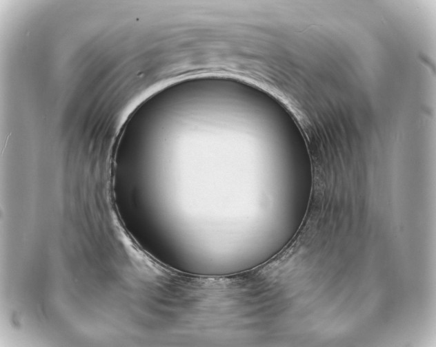 X0000095551534200712281555