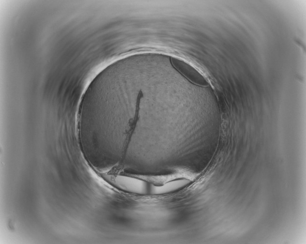 X0000095551535200712281555