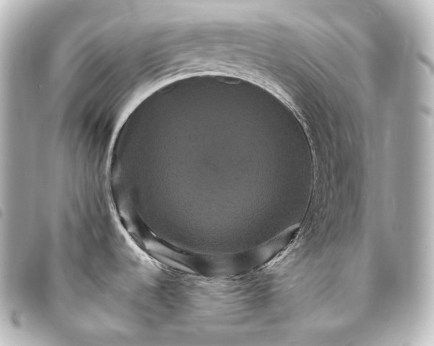 X0000095551536200712281555