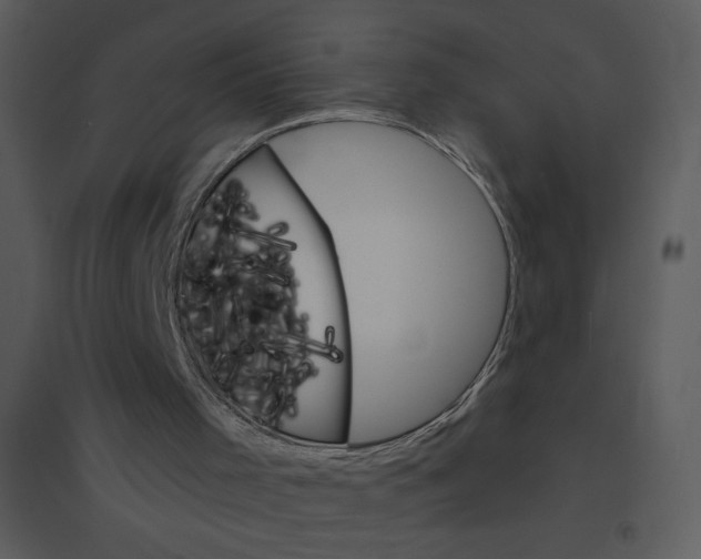 X0000095550001200801041341