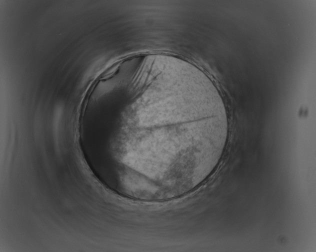 X0000095550002200801041341