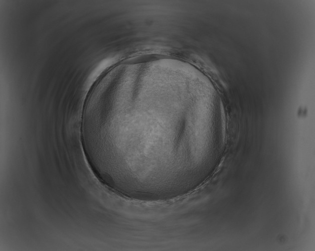 X0000095550003200801041341