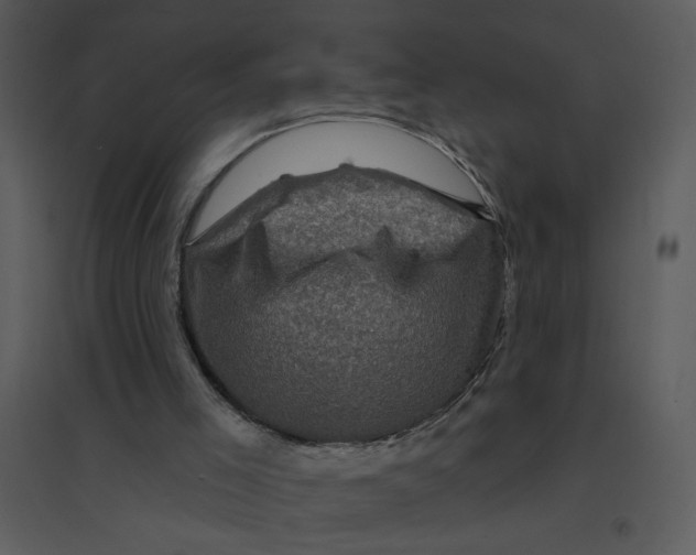 X0000095550005200801041341