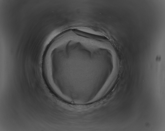 X0000095550006200801041341