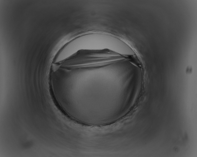 X0000095550007200801041341