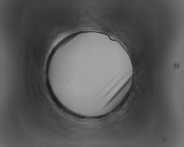 X0000095550008200801041341