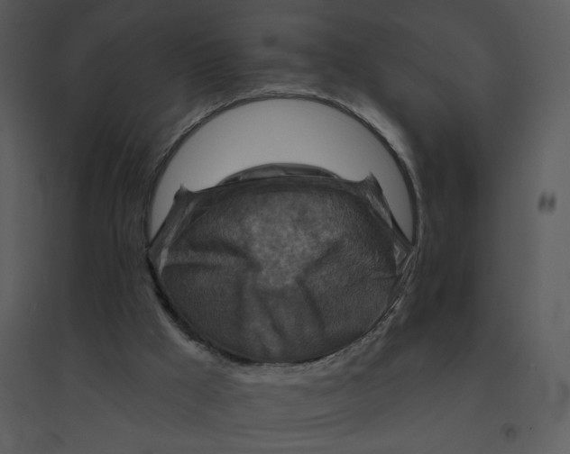 X0000095550009200801041341