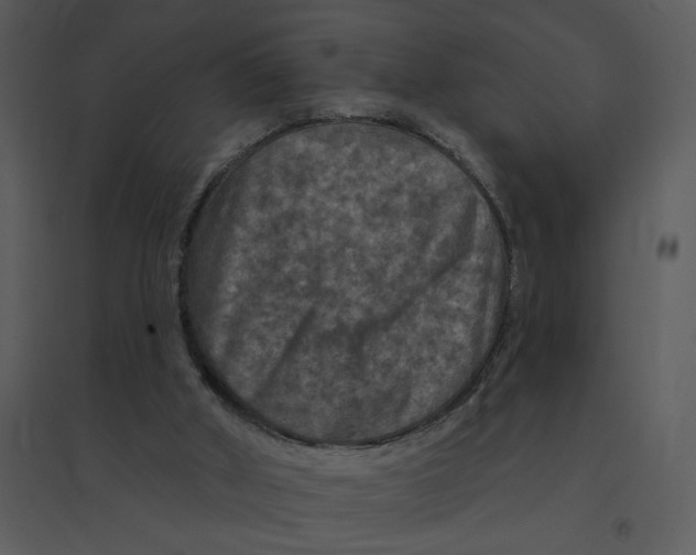 X0000095550010200801041341