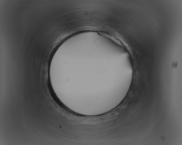 X0000095550011200801041341