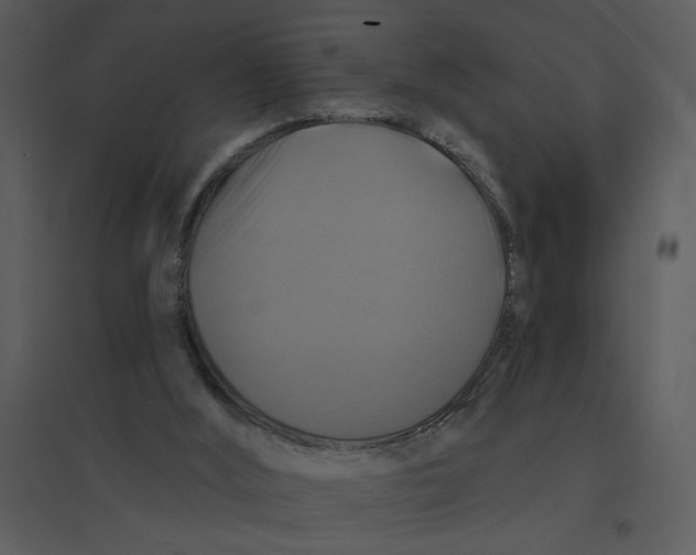 X0000095550012200801041341