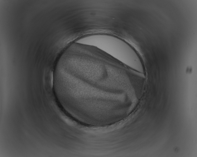 X0000095550013200801041341