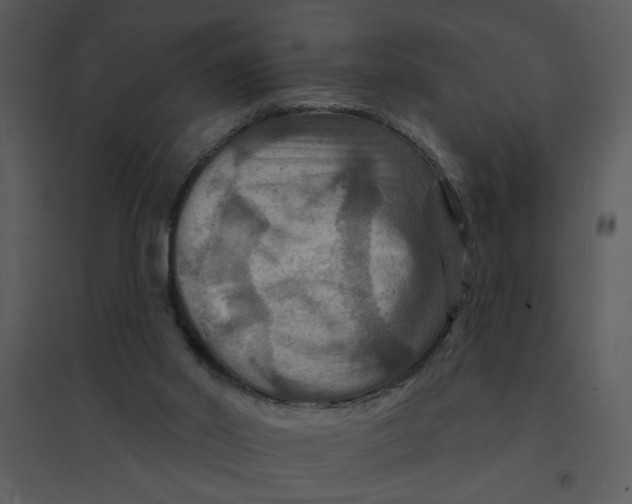 X0000095550014200801041341