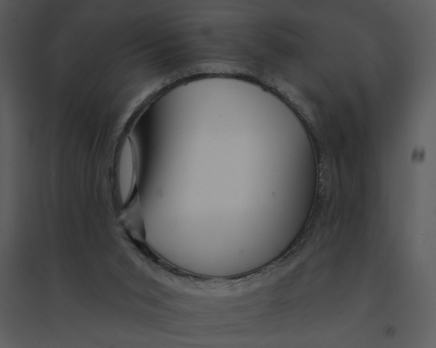 X0000095550015200801041341