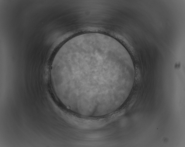 X0000095550016200801041341