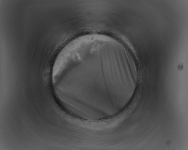 X0000095550018200801041341