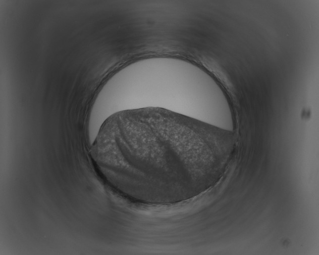 X0000095550021200801041341