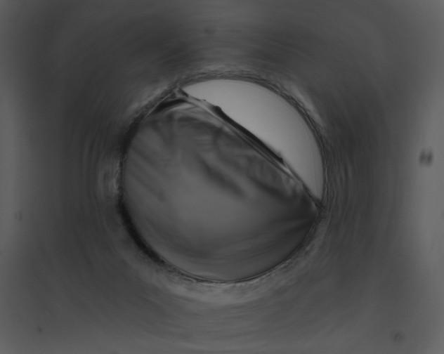 X0000095550023200801041341