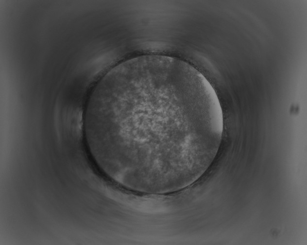 X0000095550024200801041341