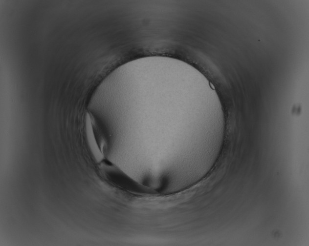 X0000095550025200801041341