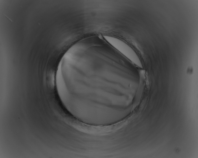 X0000095550027200801041341